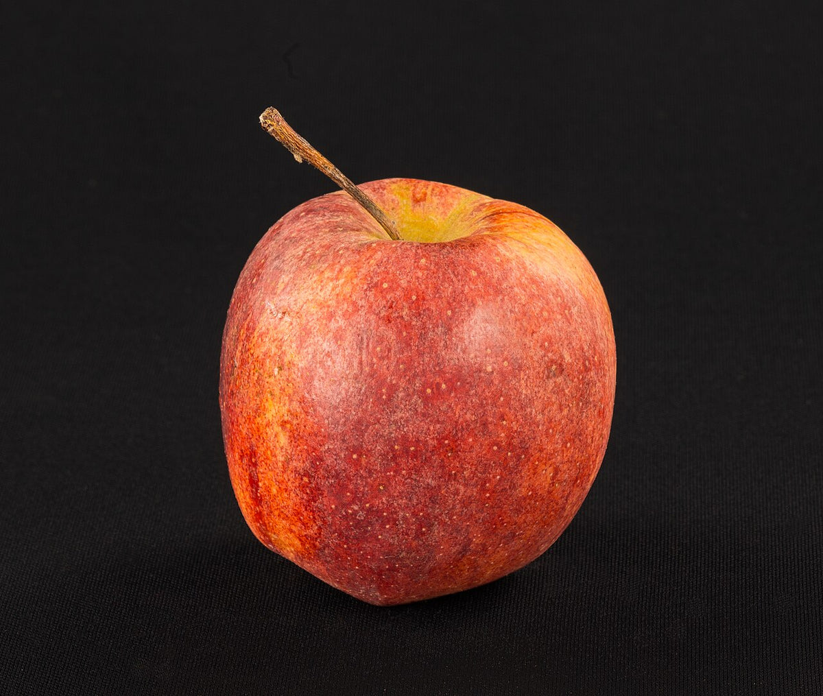 Gala Apple