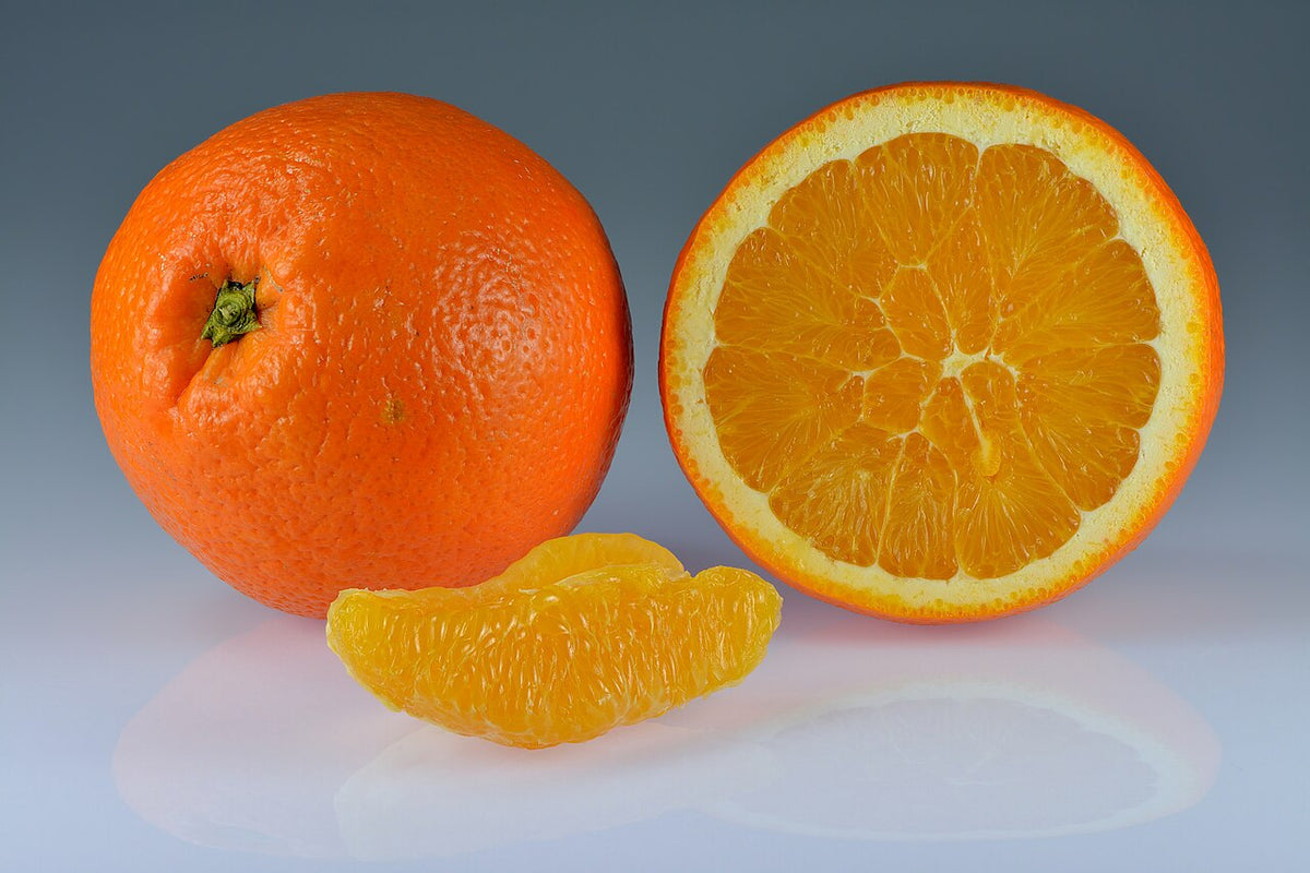 Hamlin Sweet Orange Tree