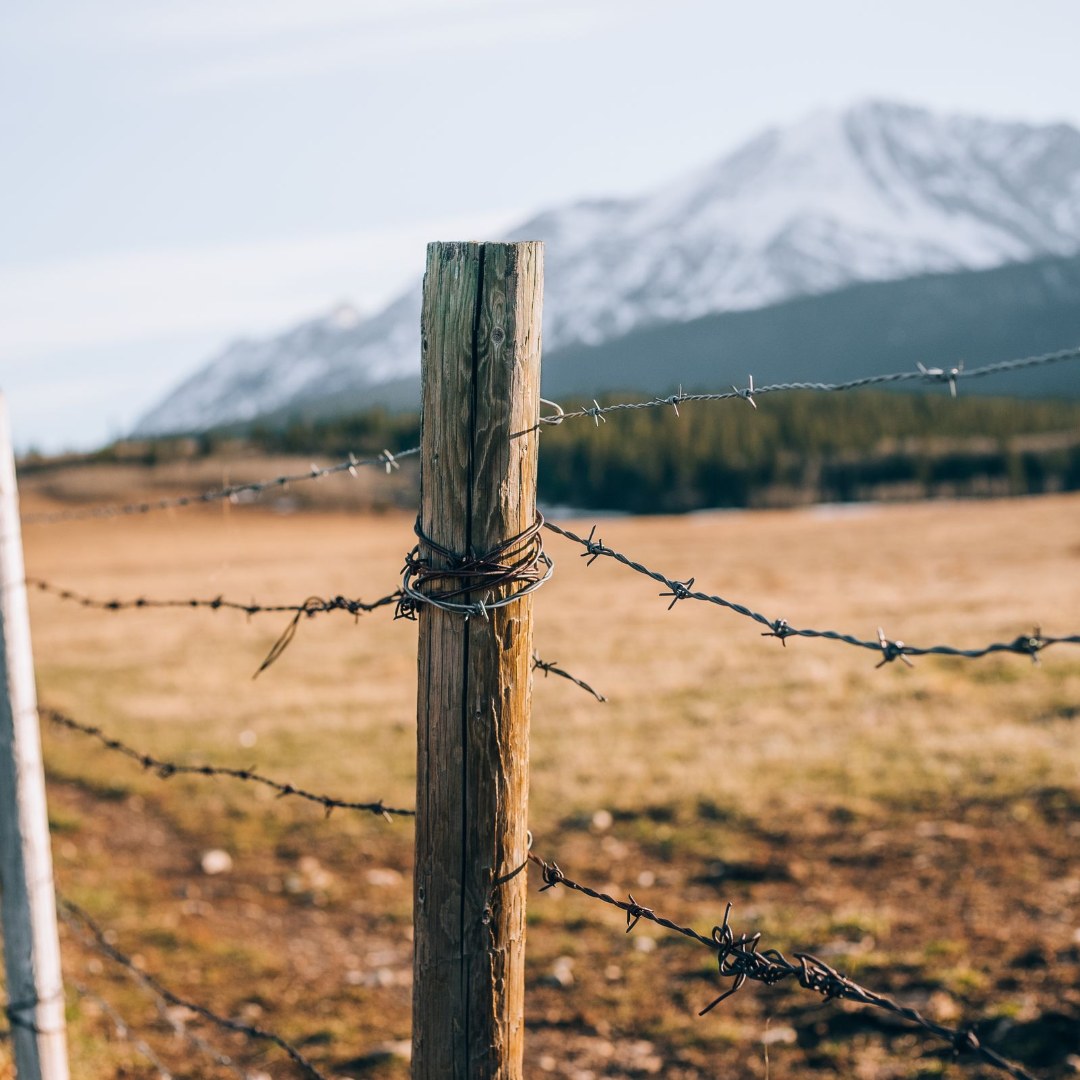 Barbed Wire Fence