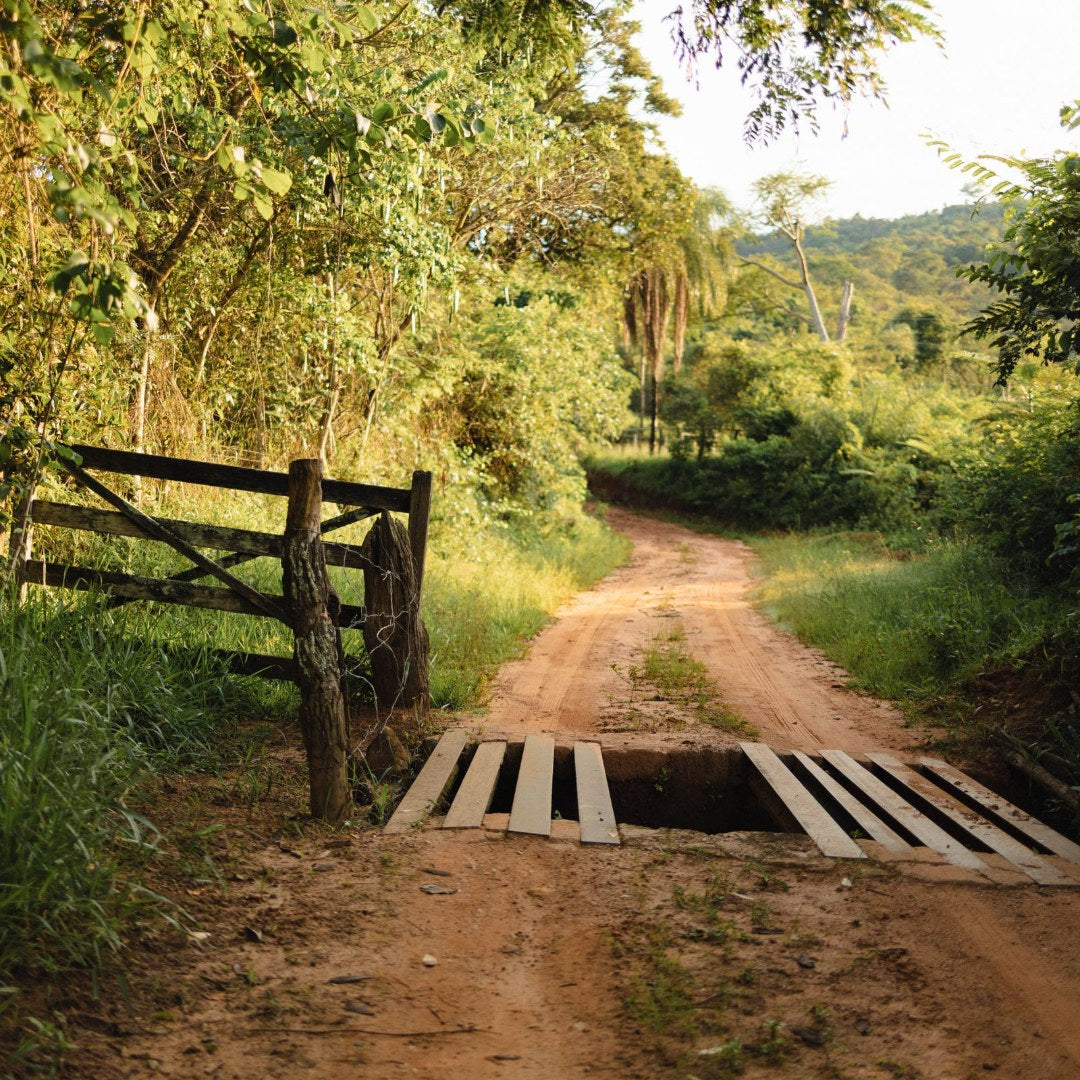Cattle Guard