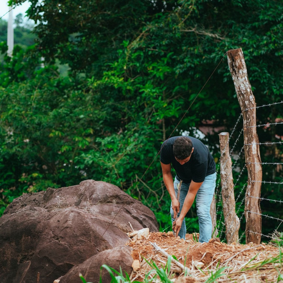 Fence Installation