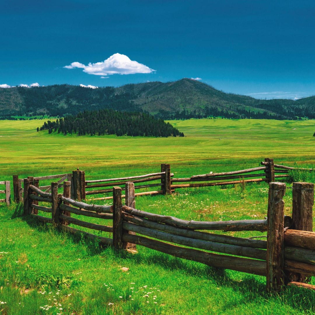 Free Fence & Gate Consultation