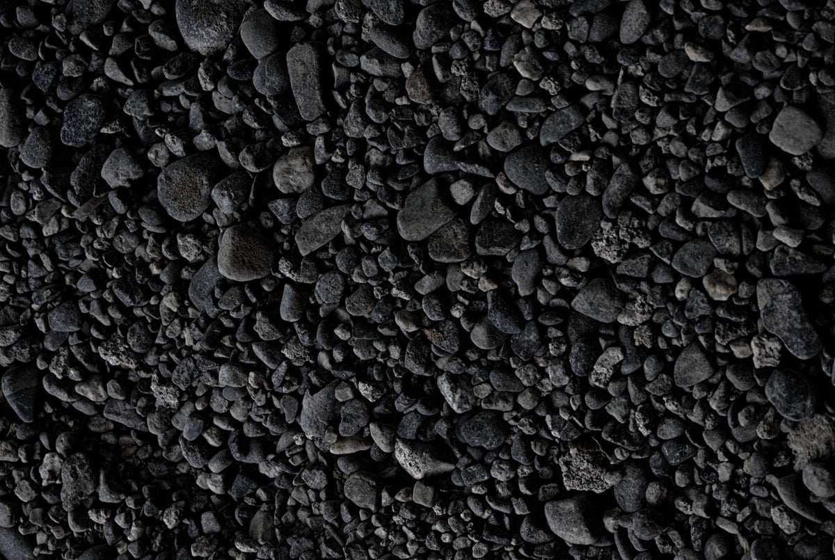 Texas Black Star Gravel