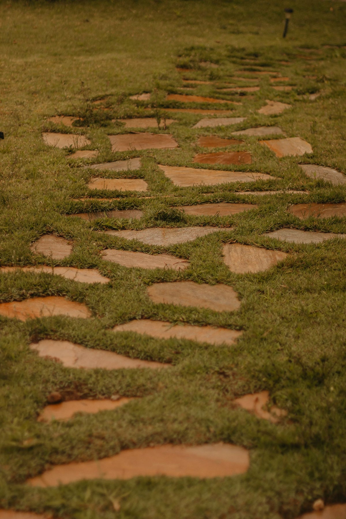 Stepping Stones