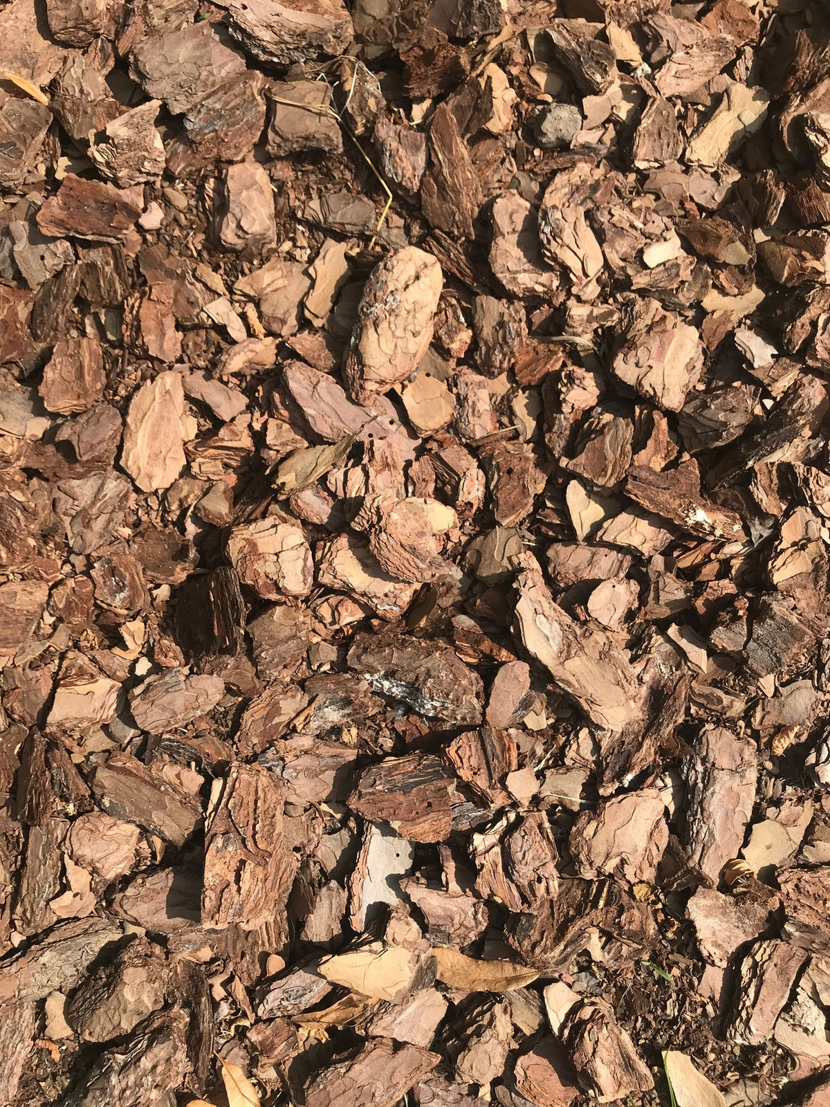 Pine Bark Mulch