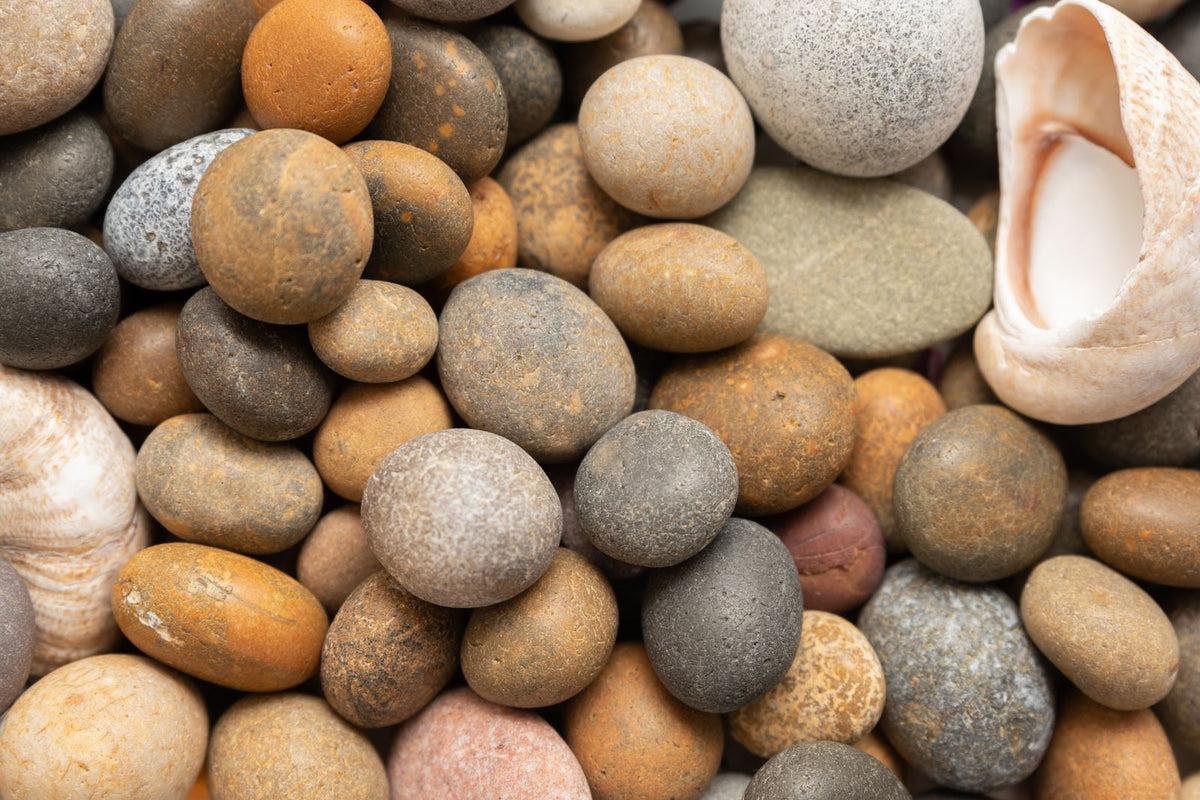 Colorado Cobble