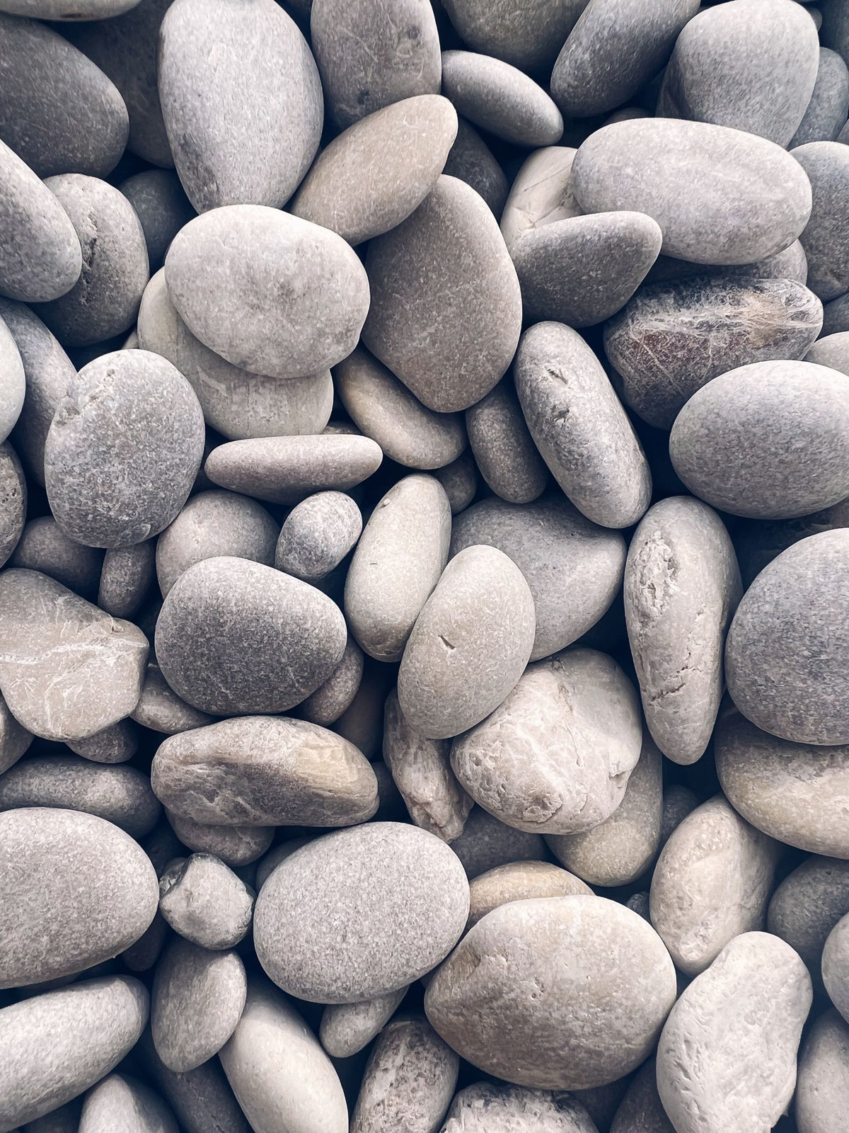 Mesa Gray River Rock