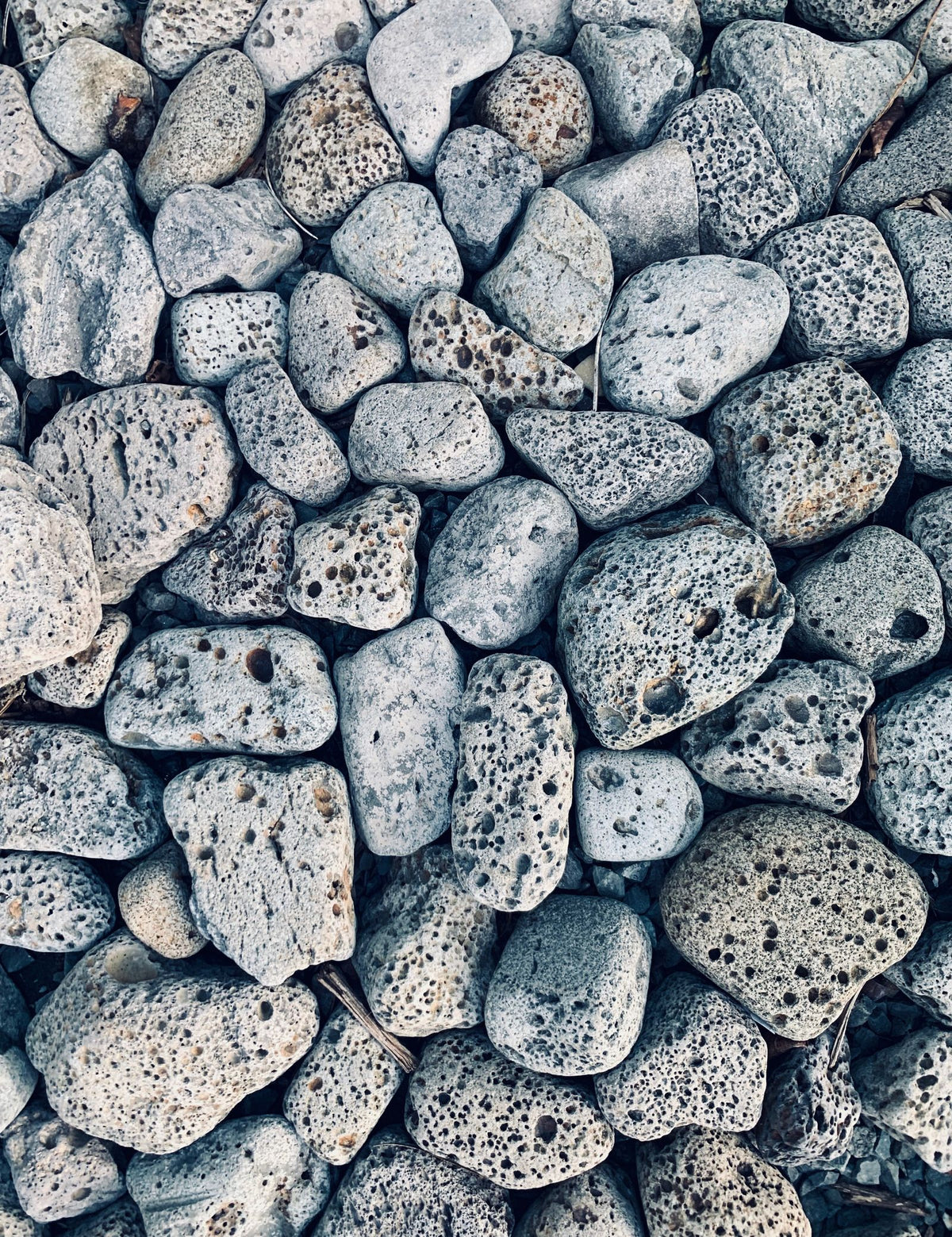 Black Lava Rock