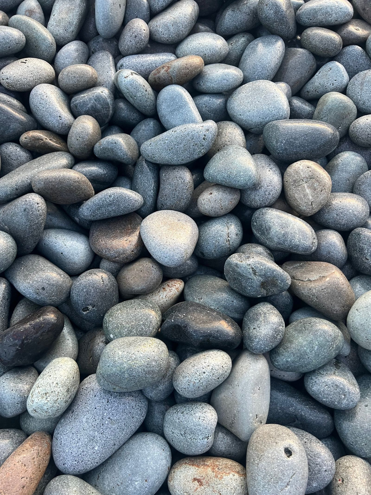 Mixed Color Mexican Beach Pebbles