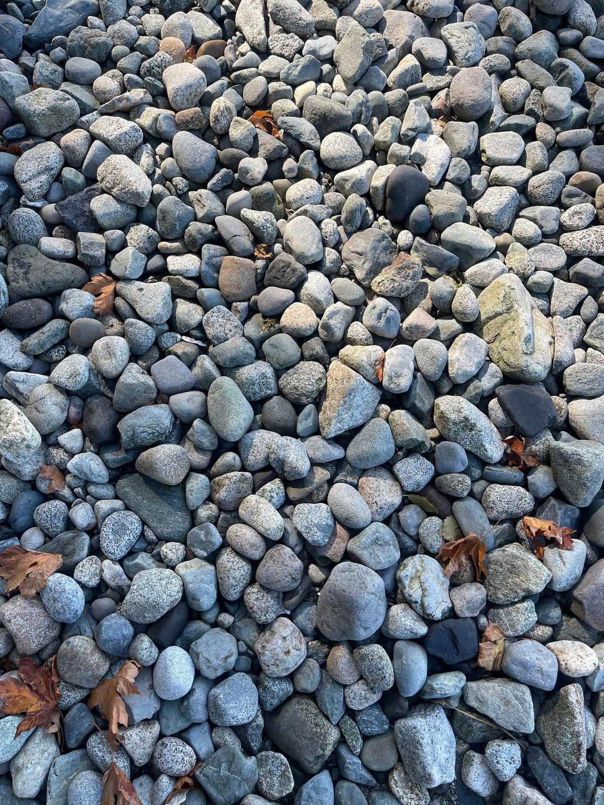 Austin River Rock