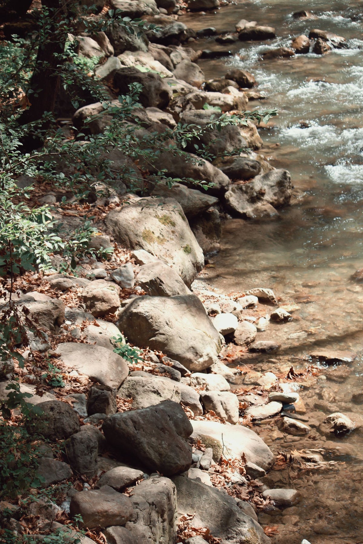 Oklahoma Creek Rock