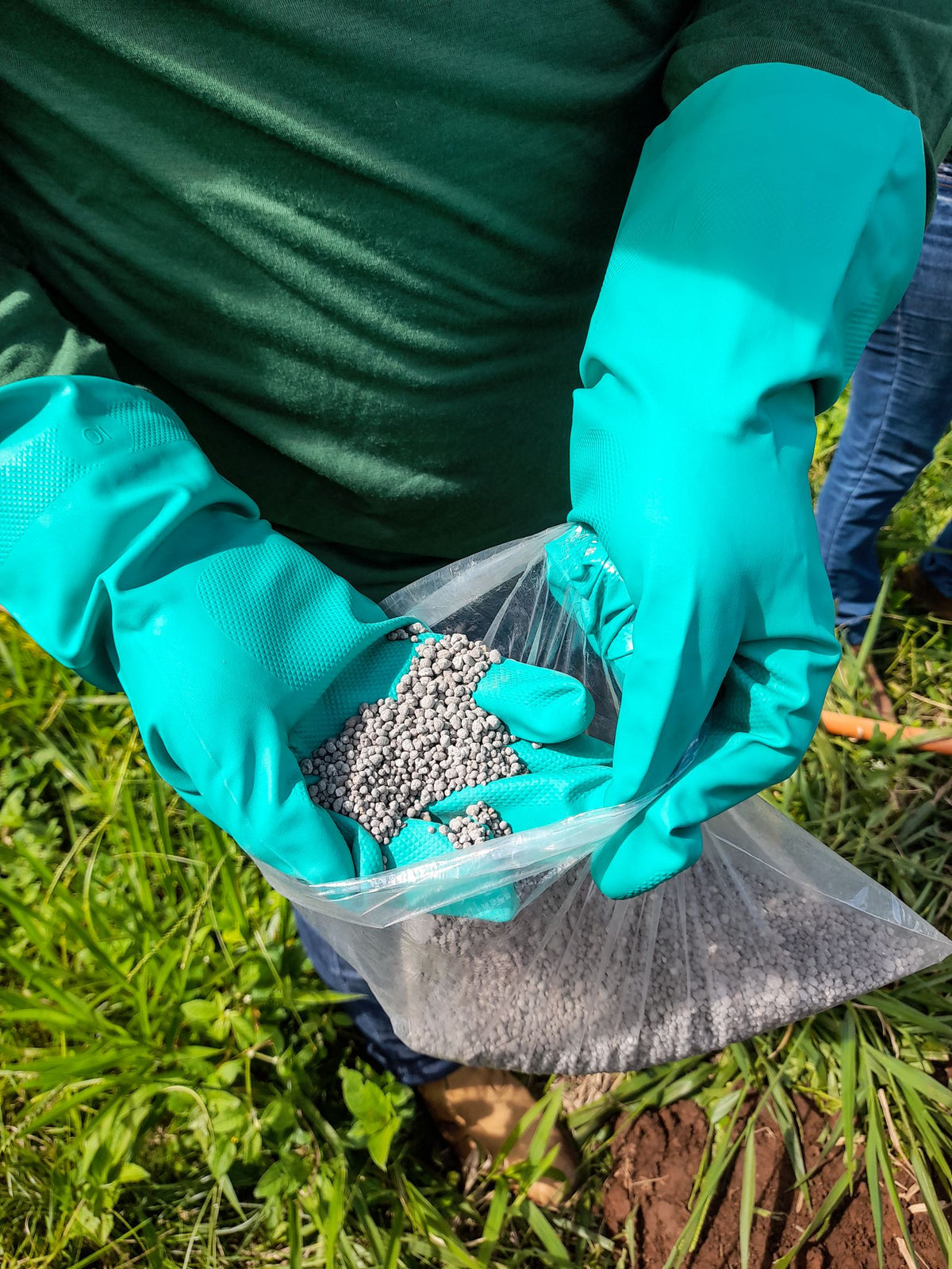 Lawn & Turf Fertilizer