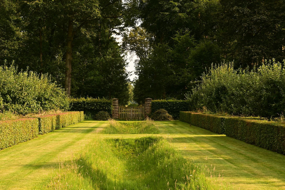 Plastic Landscape Edging (4 in x 20 ft)