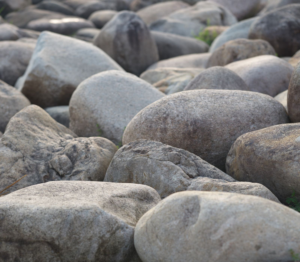 Brazos Bull Rock