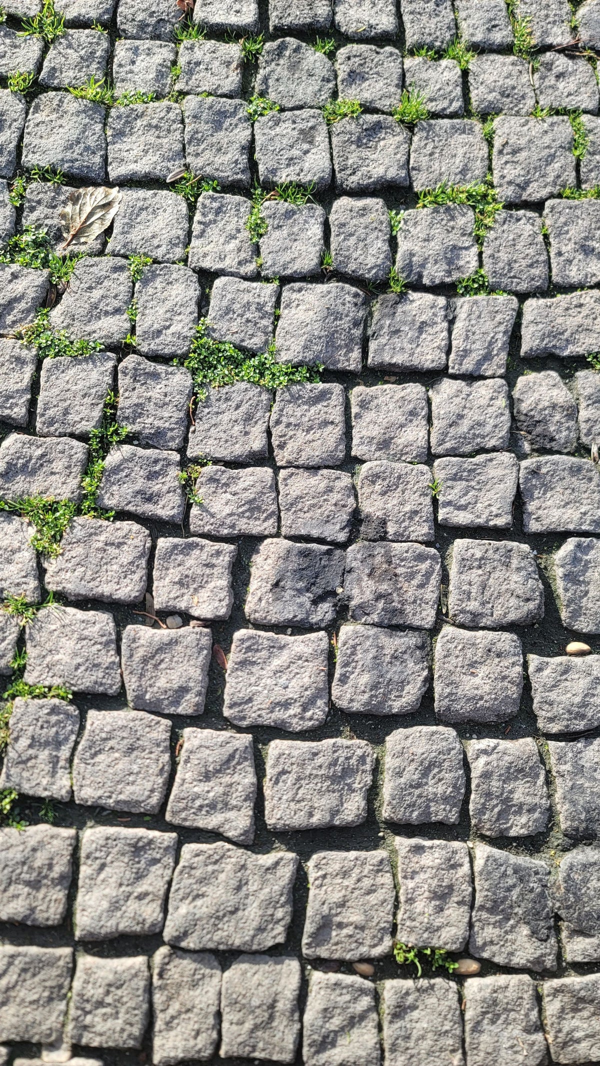 Rumblestone Mini Pavers
