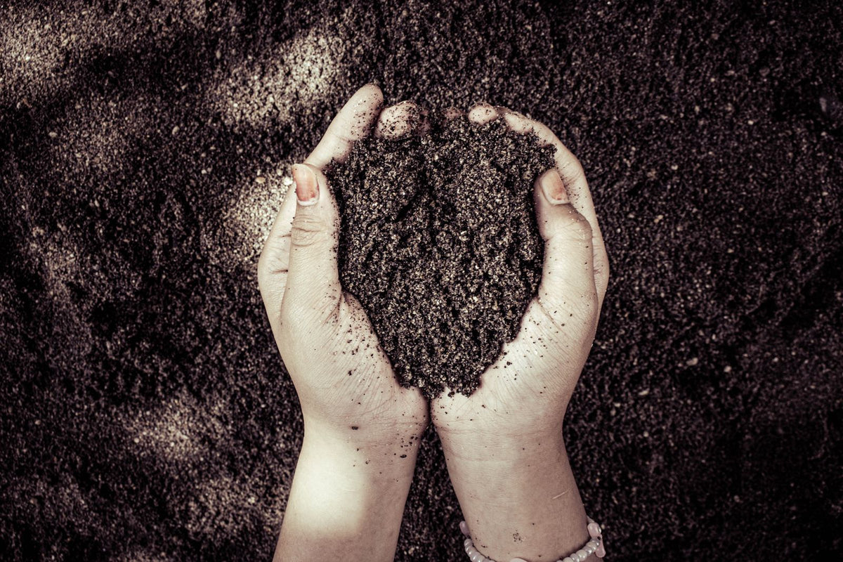 Garden Soil Blend