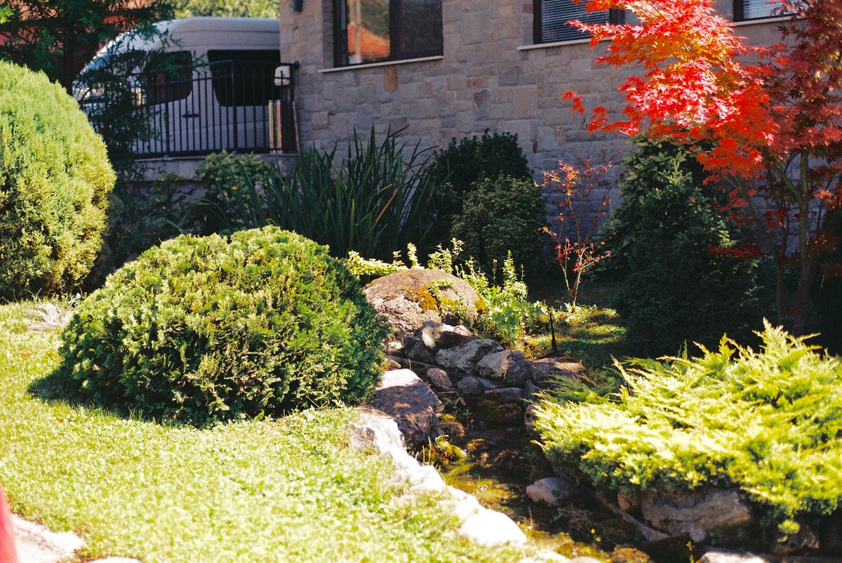 Free Design Consultation