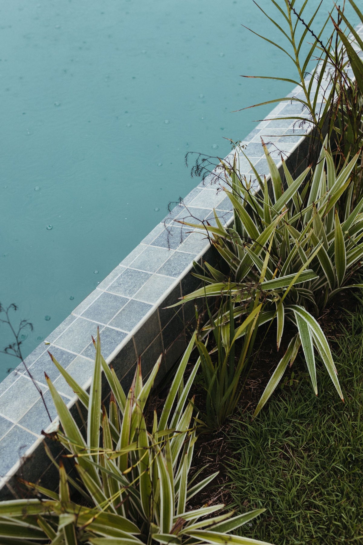 Steel Landscape Edging