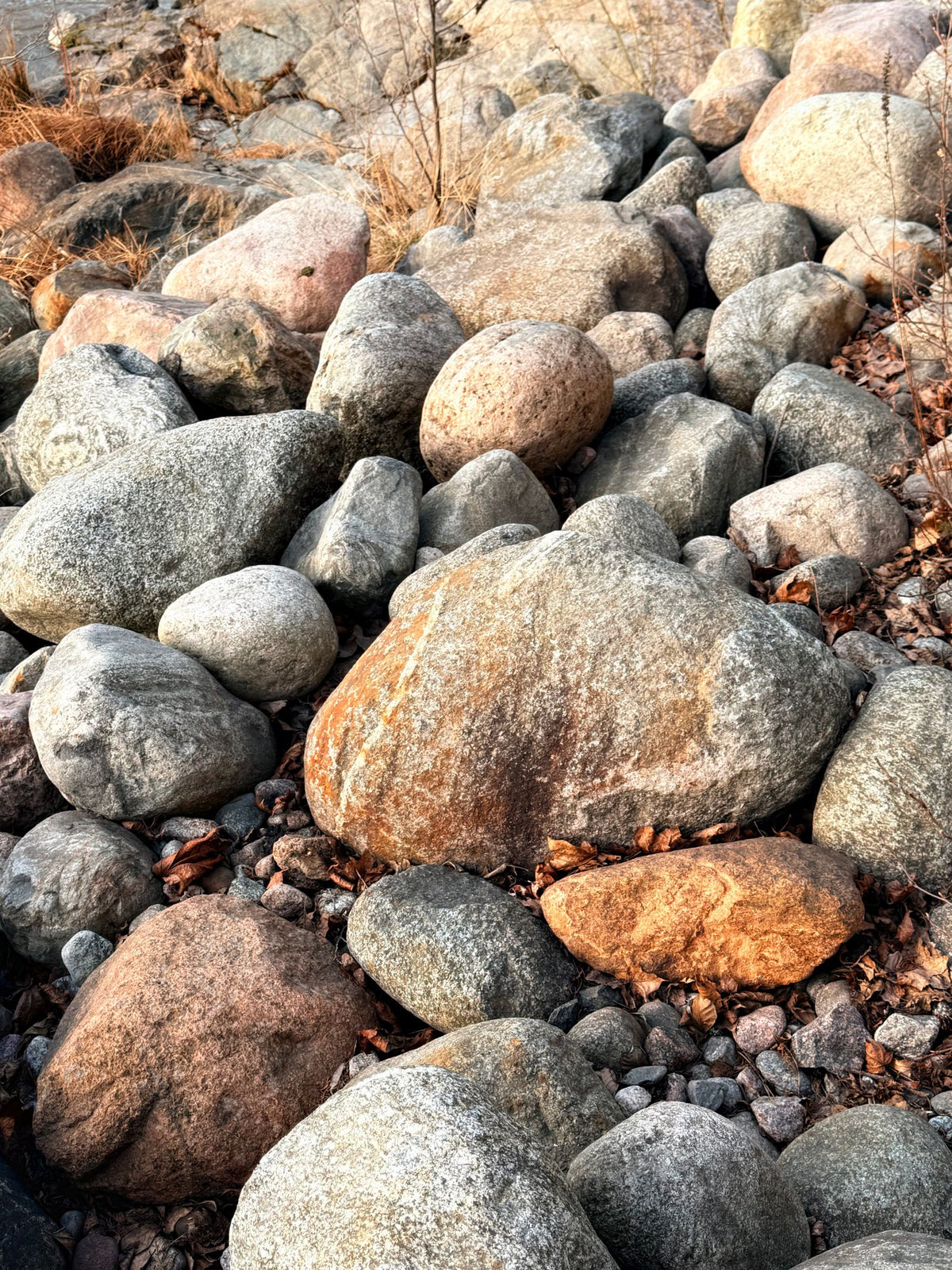 Texas Bull Rock