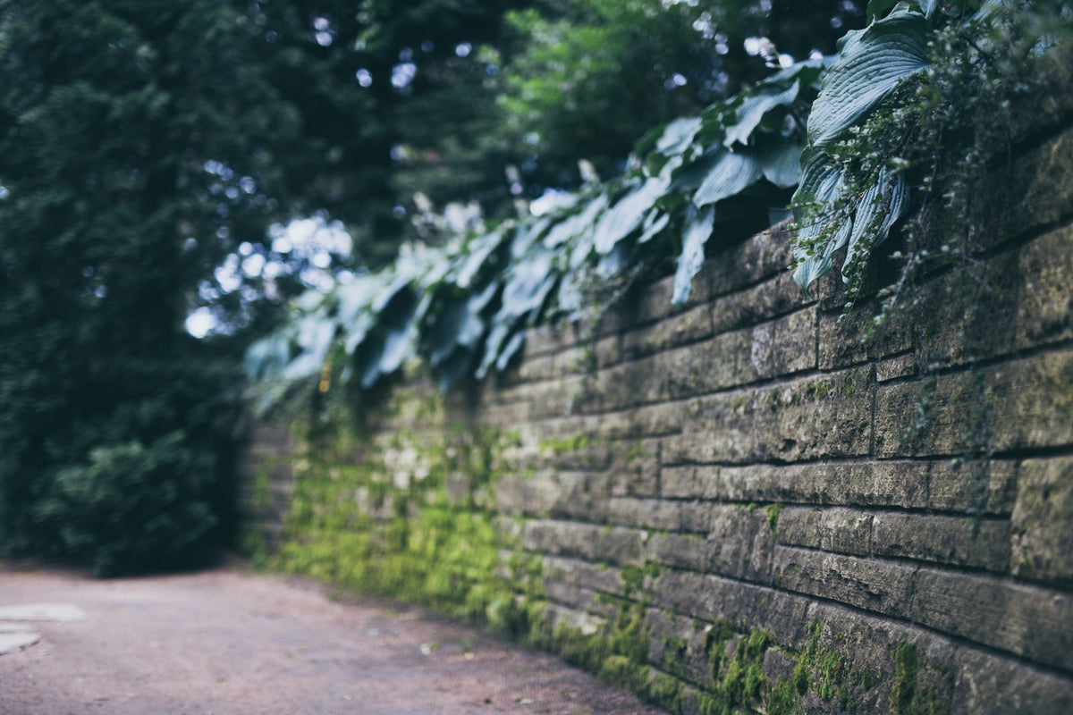 Regal Stone Retaining Wall Block