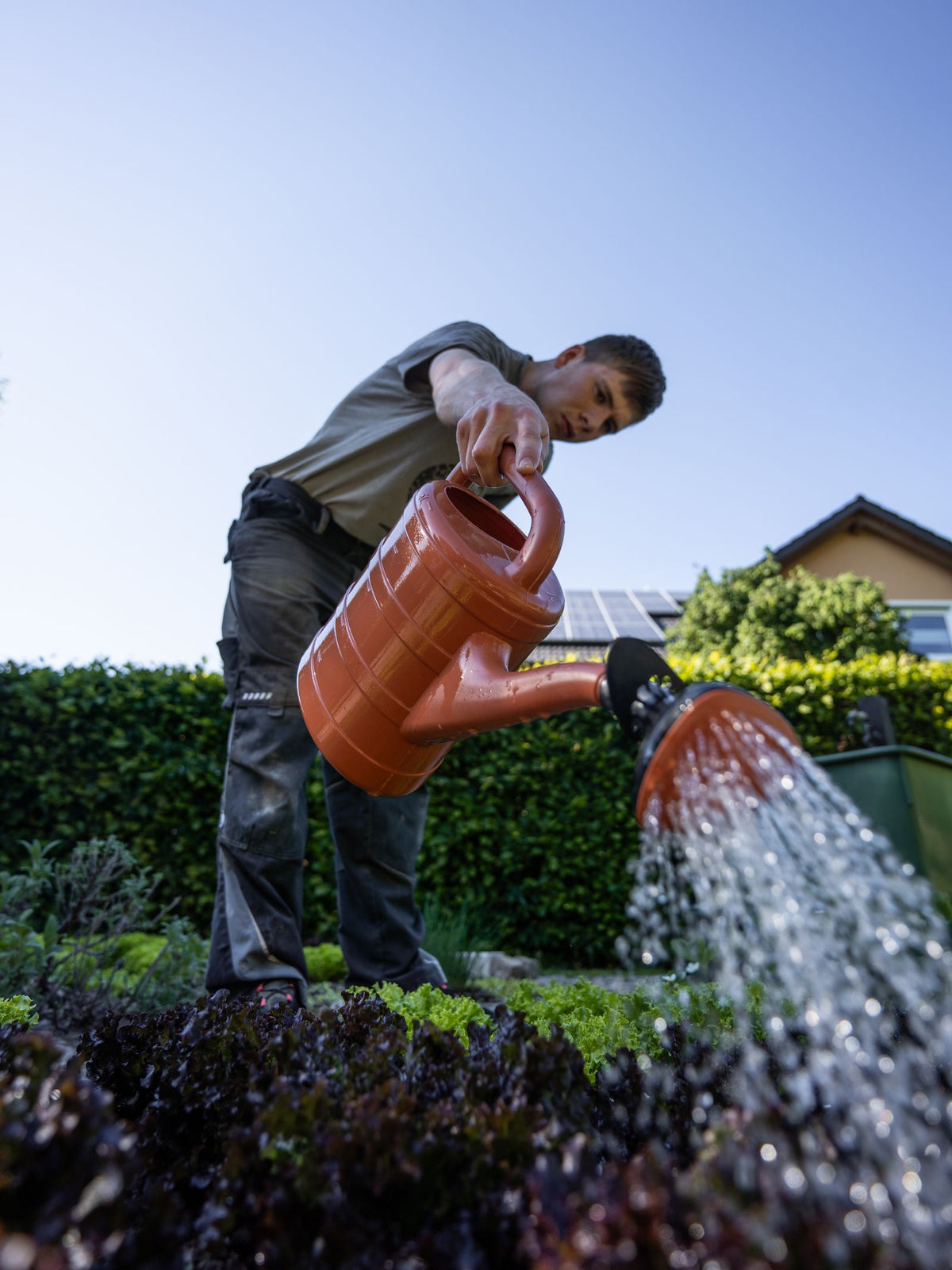 Routine Tree Maintenance