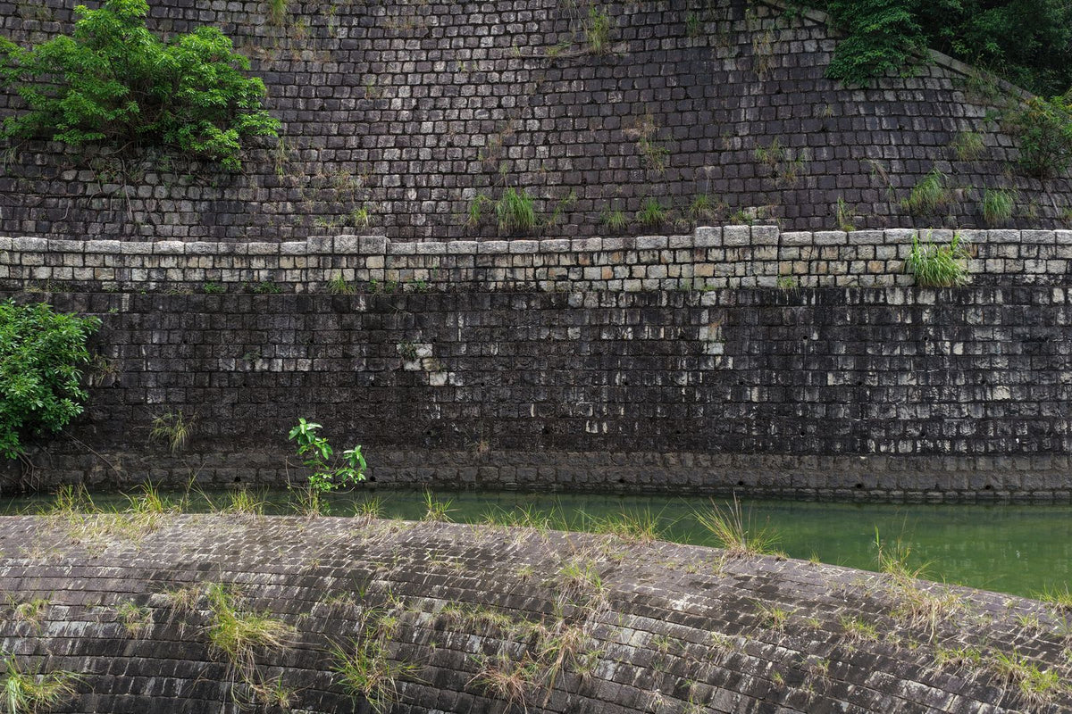 Rumblestone Wall Block