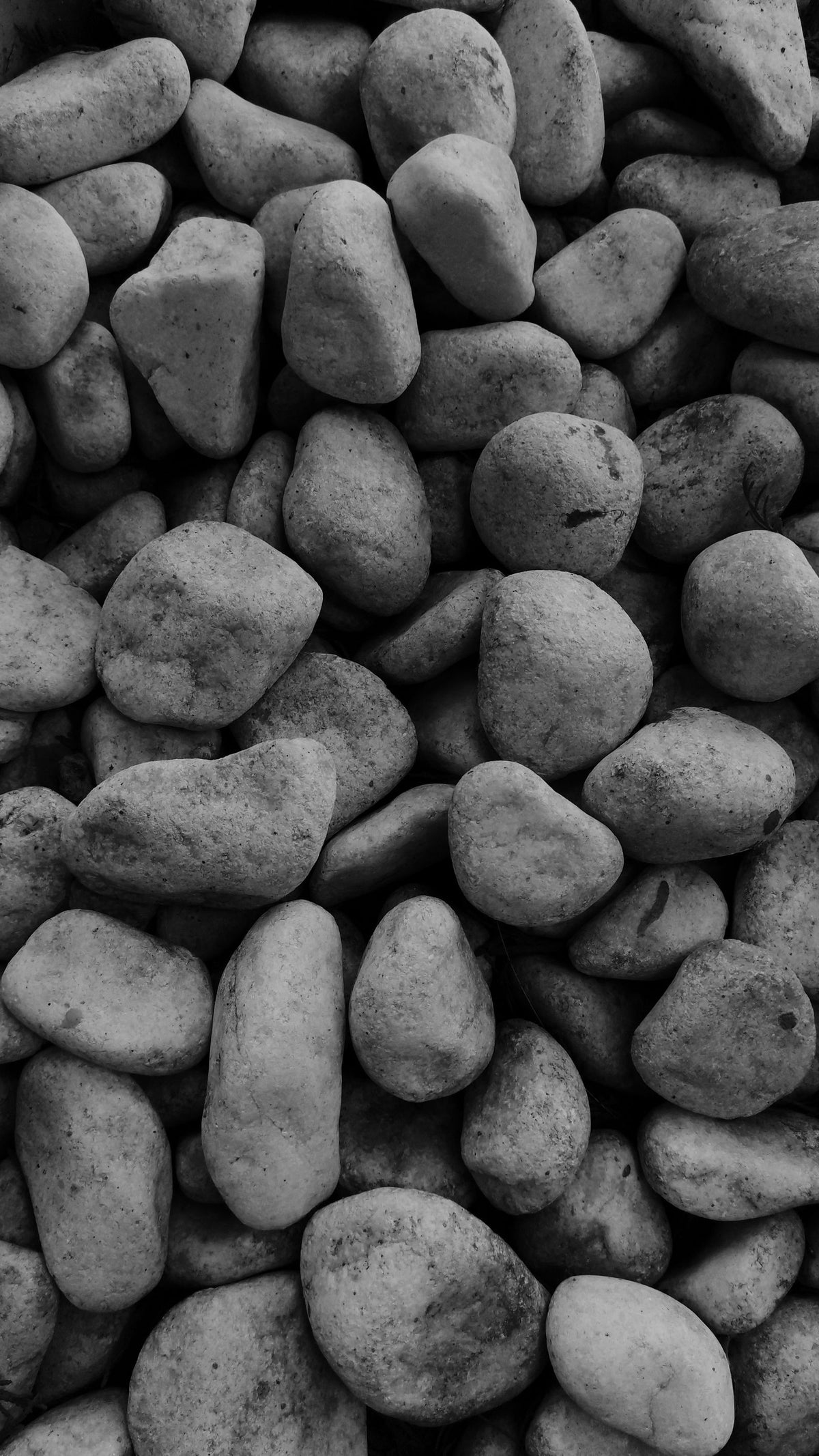 Black Mexican Beach Boulders