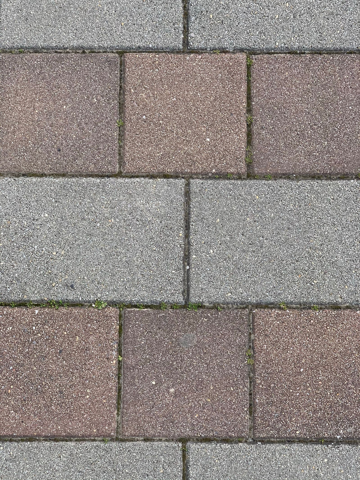 Square Concrete Pavers