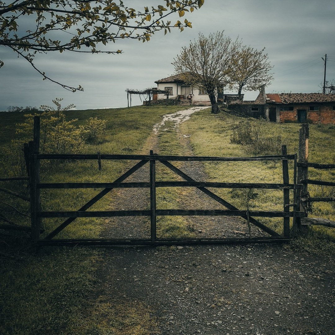 Pipe Ranch Gate