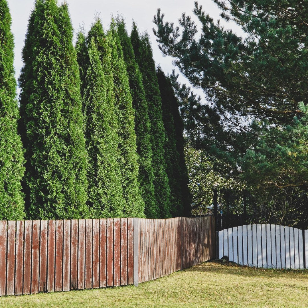 Wood Privacy Fence