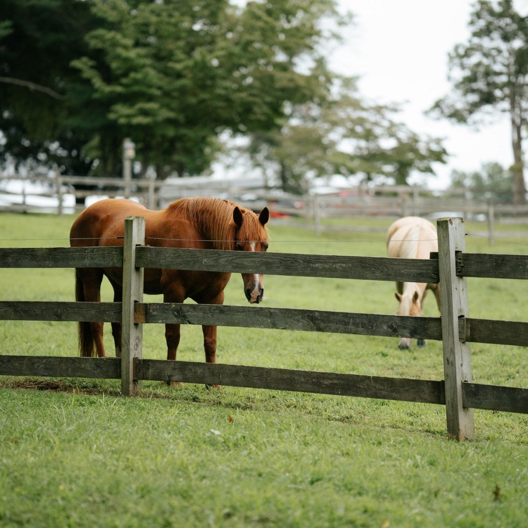 Wood Ranch Rail Fence (3 and 4 Board)